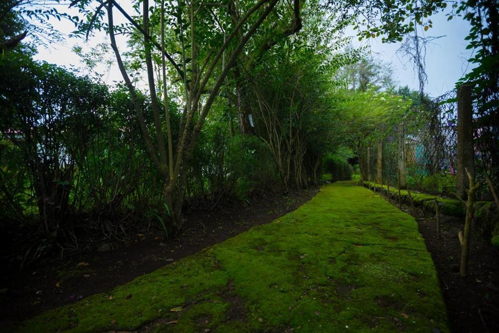 Hotel Kodai International Kodaikanal Buitenkant foto
